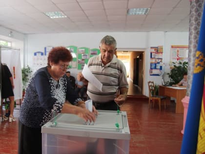 Ход голосования в Медведовском поселении и Кубанце
