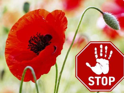 В Динском районе проходит 3 этап межведомственной антинаркотической акции «Мак-2023»