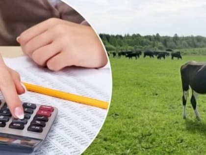 Продолжается прием документов на субсидирование малых форм хозяйствования
