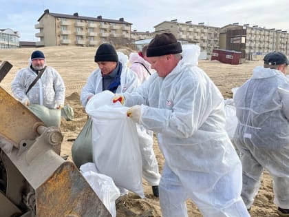 Волонтеры Новороссийска: «Каждый должен помочь Черному морю!»