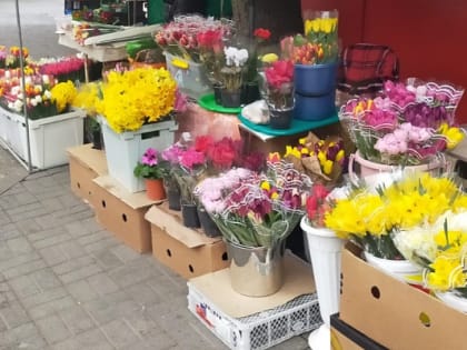 В Сочи проходят мониторинговые мероприятия по пресечению фактов незаконной торговли цветами