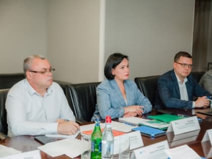 ПАО ГК «ТНС энерго» и дочерние компании ПАО «Россети» обсудили взаимодействие для обеспечения качественного энергоснабжения регионов юга России