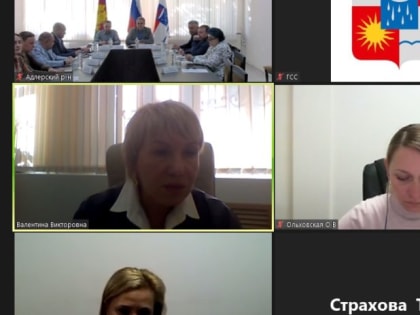 Заседание территориальной депутатской группы Адлерского района прошло в режиме ВКС