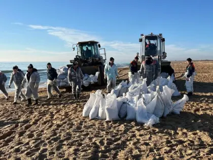 155 тыс. тонн загрязненного грунта вывезли с пляжей Краснодарского края