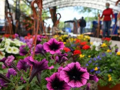 Краснодарцев приглашают посетить ярмарку «Осень на даче»