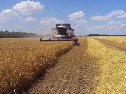 В Славянском районе закончена уборка зерновых и зернобобовых культур