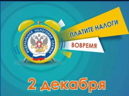 Сроки уплаты налогов в 2024 году