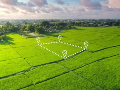 Арендаторы земельных участков, предназначенных для ведения сельскохозяйственного производства, могут приобрести их в собственность