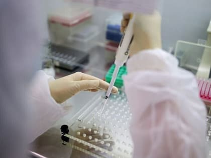 В Краснодарском крае за сутки выявили 31 случай коронавируса