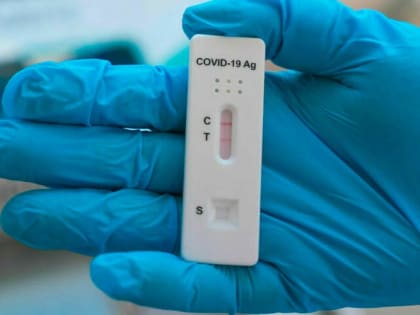 В России выявили второй случай заражения «кракеном»