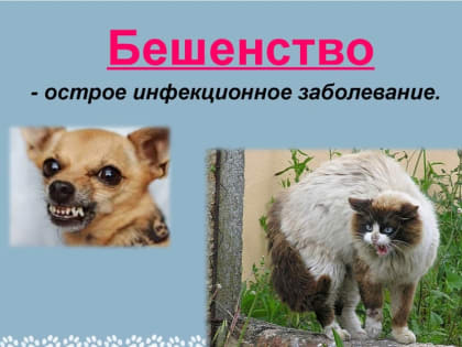 Живые угрозы