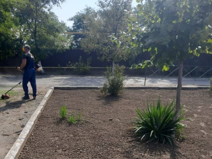 В Николаевке жители с радостью принялись за уборку своего родного села