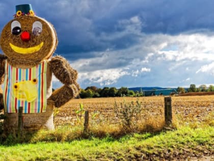 На Кубани около 3 млрд рублей направят на поддержку фермеров