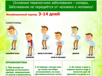 ВНИМАНИЕ! ЛИХОРАДКА ЗАПАДНОГО НИЛА!