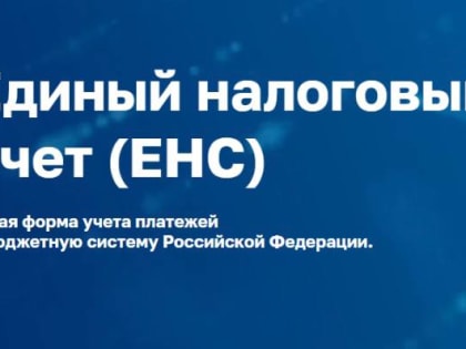 Разобраться с уплатой налогов на ЕНС поможет специальный сервис ФНС