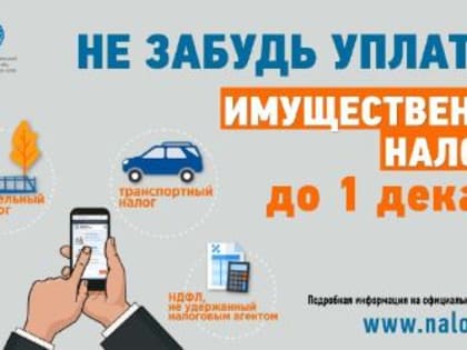 1 декабря - единый срок уплаты имущественных налогов