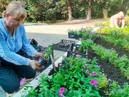 В сочинском “Дендрарии” высадят более тысячи новых цветов