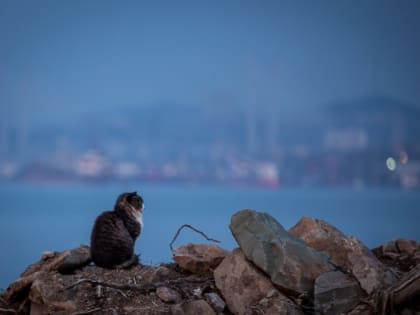 Какой будет погода на неделе в Краснодарском крае