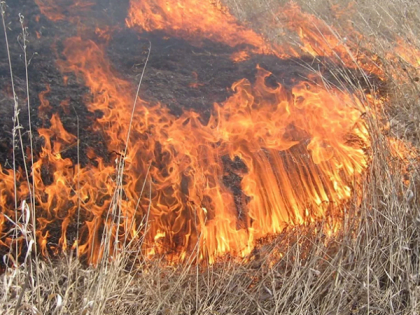 Предупреждение