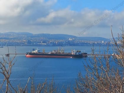 В марте сократится отгрузка нефти из Новороссийска: воздух над бухтой станет чище