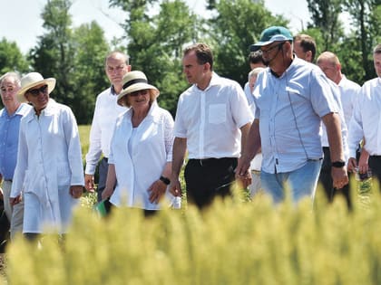 ЕСЛИ ЗАВТРА СТРАДА. ГОТОВНОСТЬ УБОРОЧНОЙ КАМПАНИИ