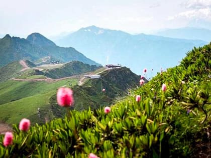 Конкурс экопроектов в Сочи: шанс для молодежи проявить себя