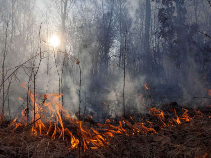 Уважаемые геленджичане и гости курорта!