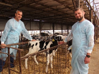 Благодаря нацпроекту на животноводческом предприятии Ейского района увеличены надои молока