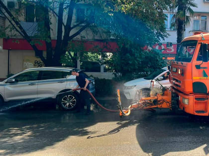 В Сочи хотят запретить бензиновые воздуходувки