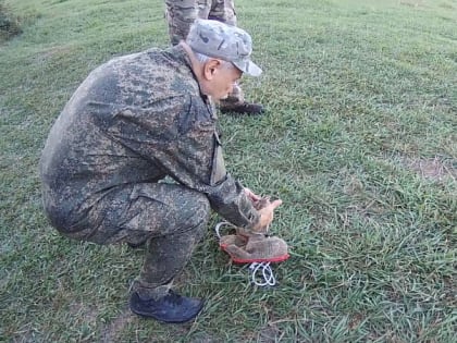 В Сочи поймали группу браконьеров