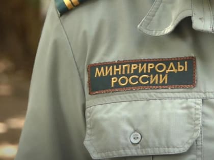 В Сочи поймали браконьеров