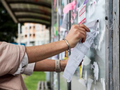 Субботник в Краснодаре перед Новым годом