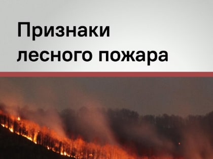 Раннее обнаружение возгораний: ключ к успешной борьбе с огнем