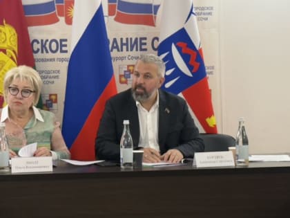 Заседание комитета по вопросам предпринимательства в Сочи