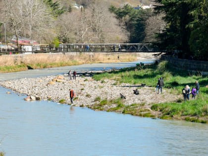 «Чистая страна»: В Сочи прошло более 30 экологических акций
