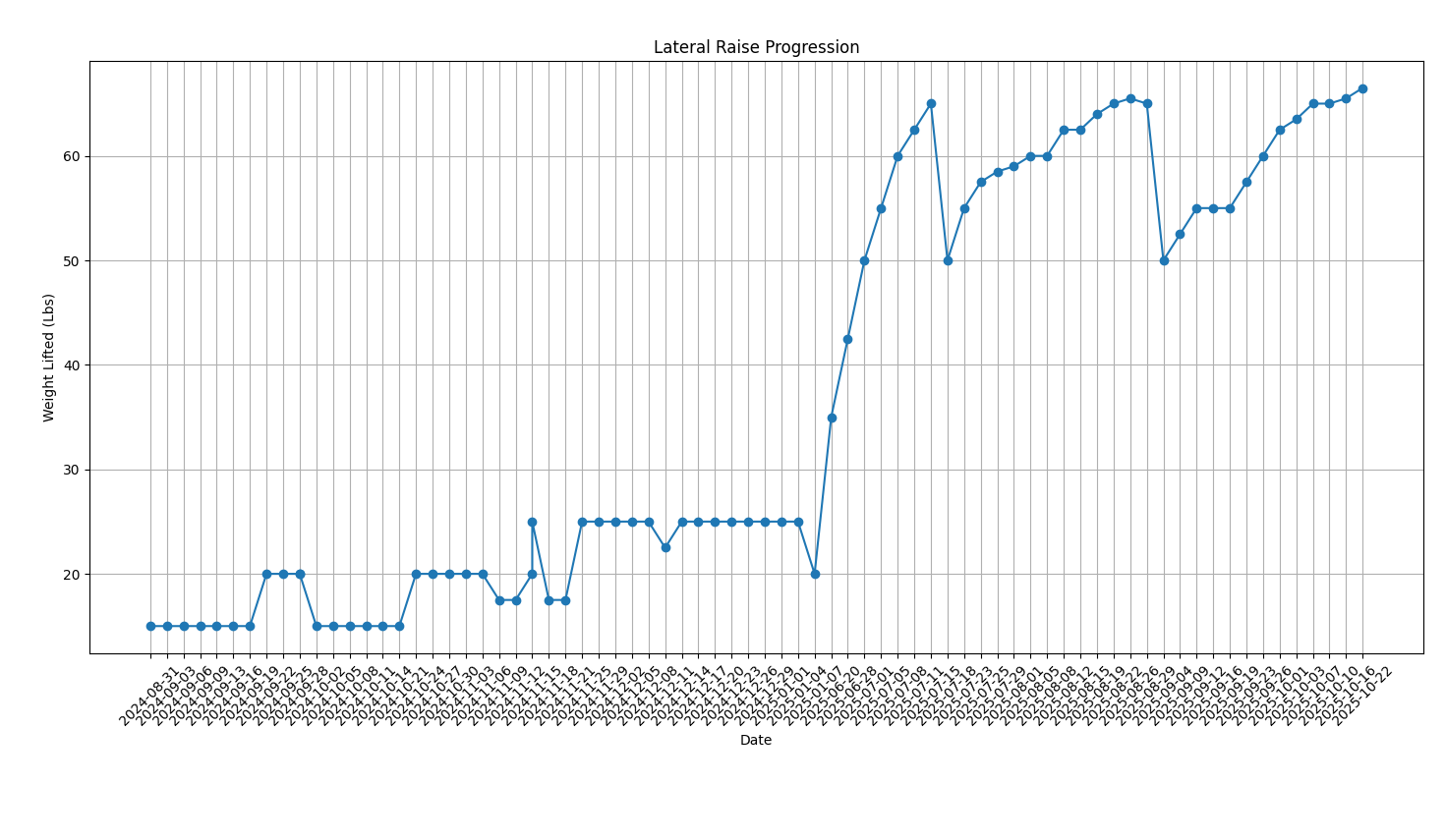 Lateral Raise Progression
