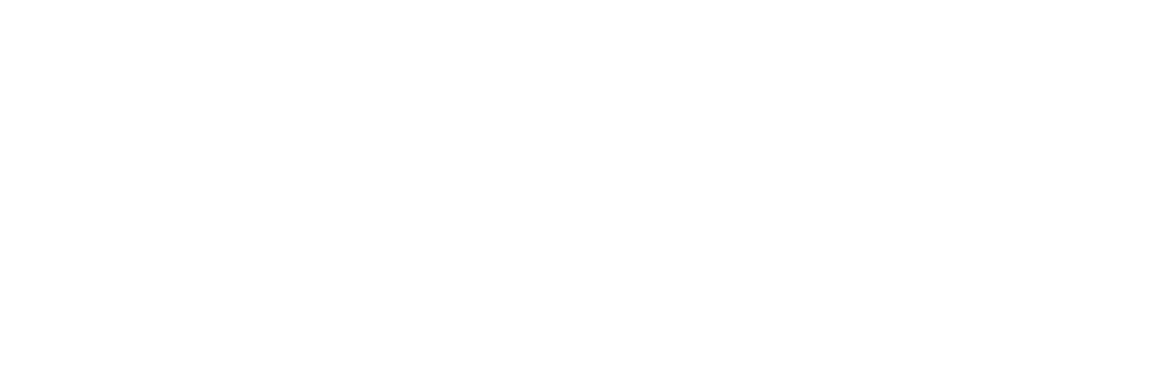 Four Pillars Development