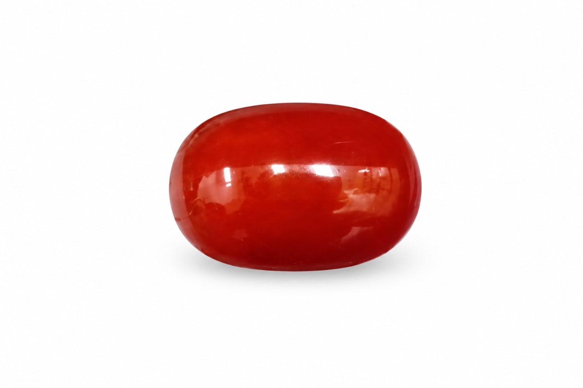 Oval Shape Red Coral 9.00 CT