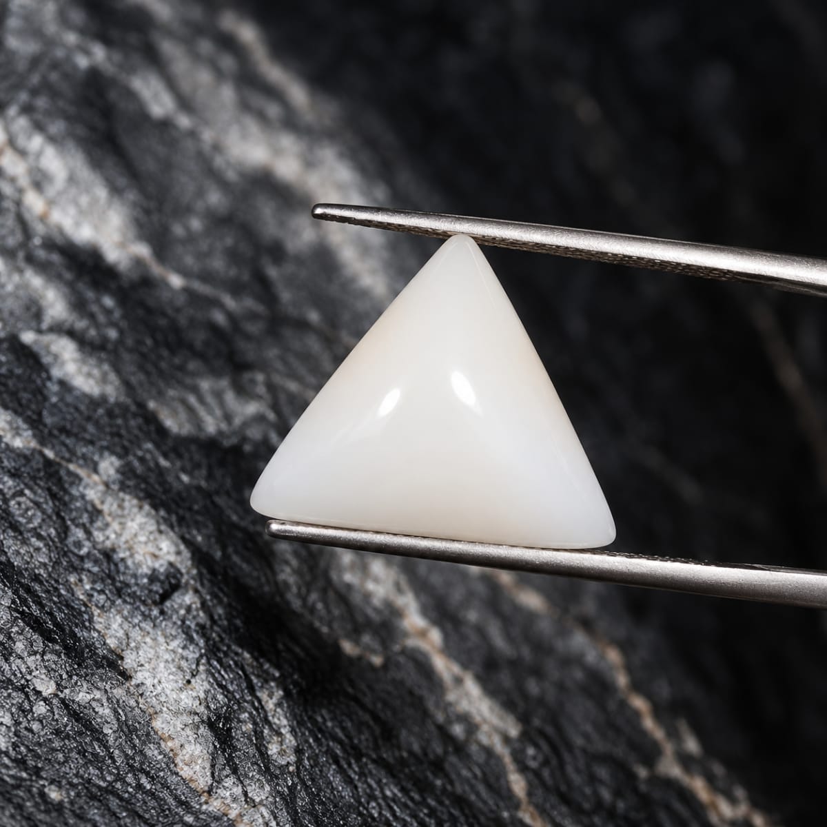 Triangle Shape White Coral 8.45 CT