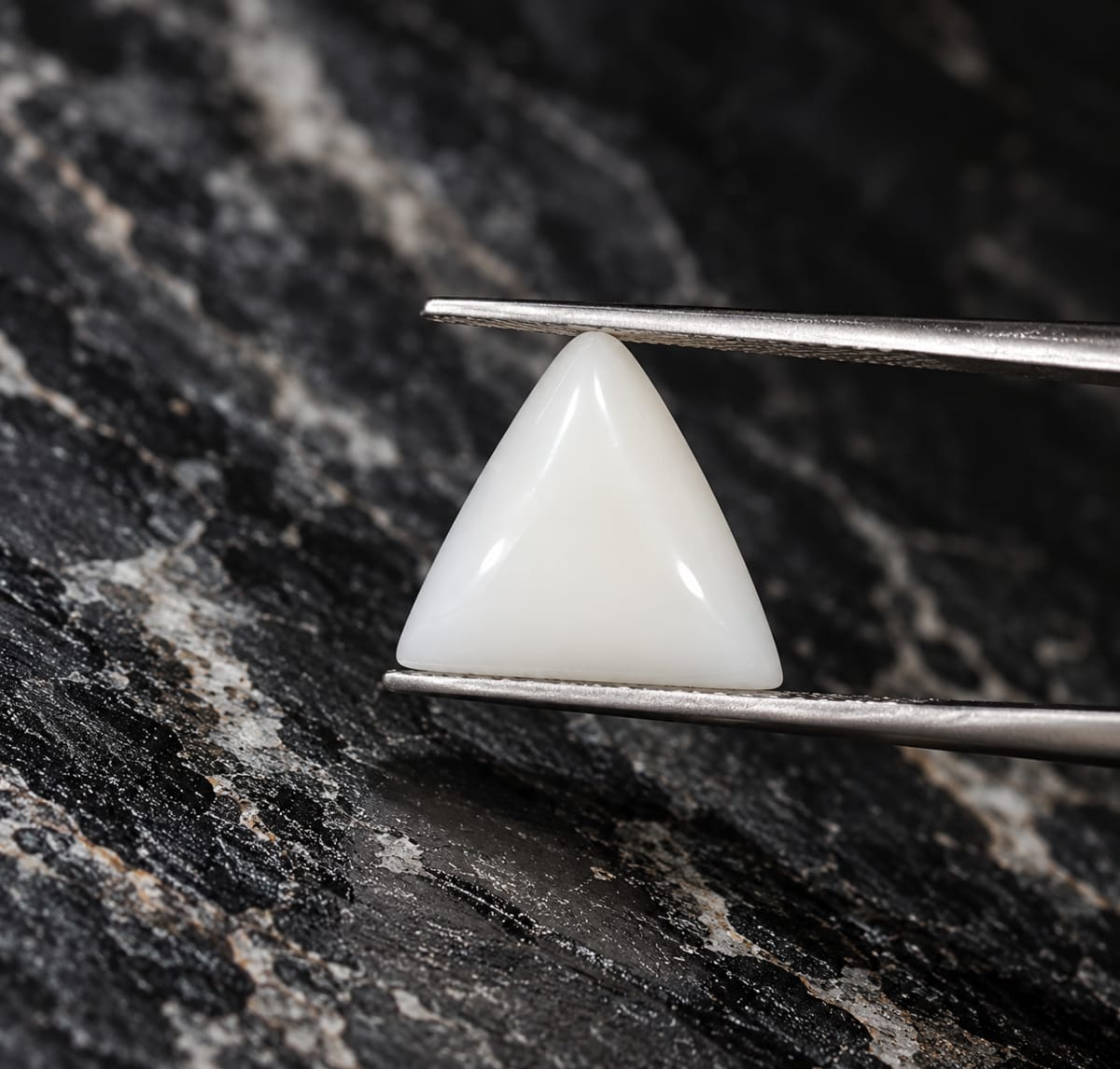 Triangle Shape White Coral 6.74 CT
