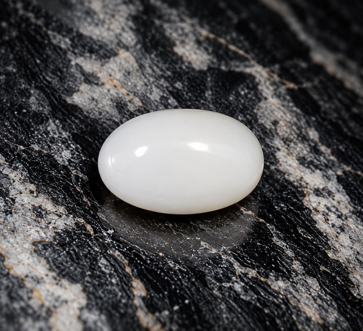 Oval Shape White Coral 10.22 CT