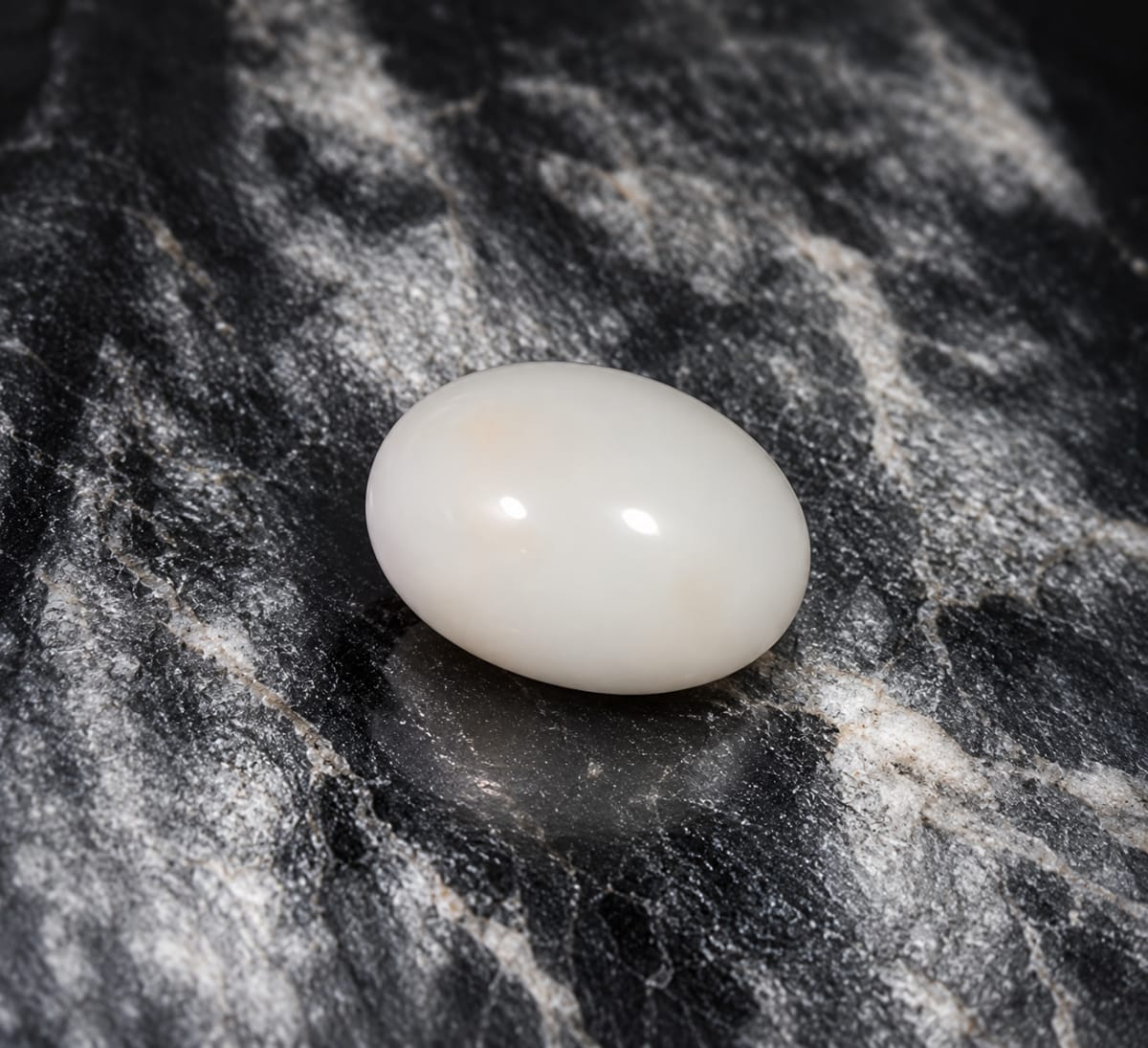 Oval Shape White Coral 11.68 CT