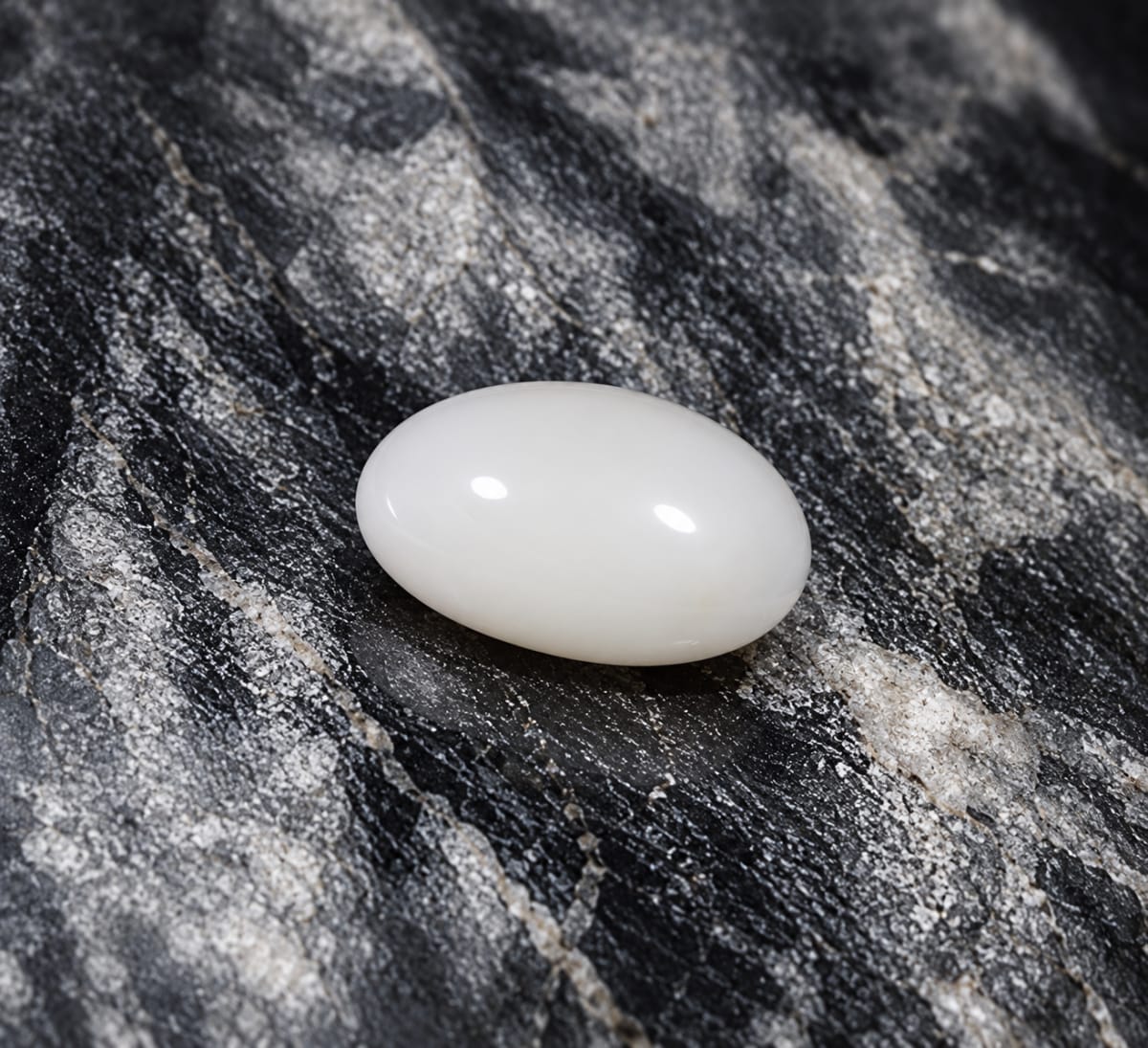 Oval Shape White Coral 7.73 CT