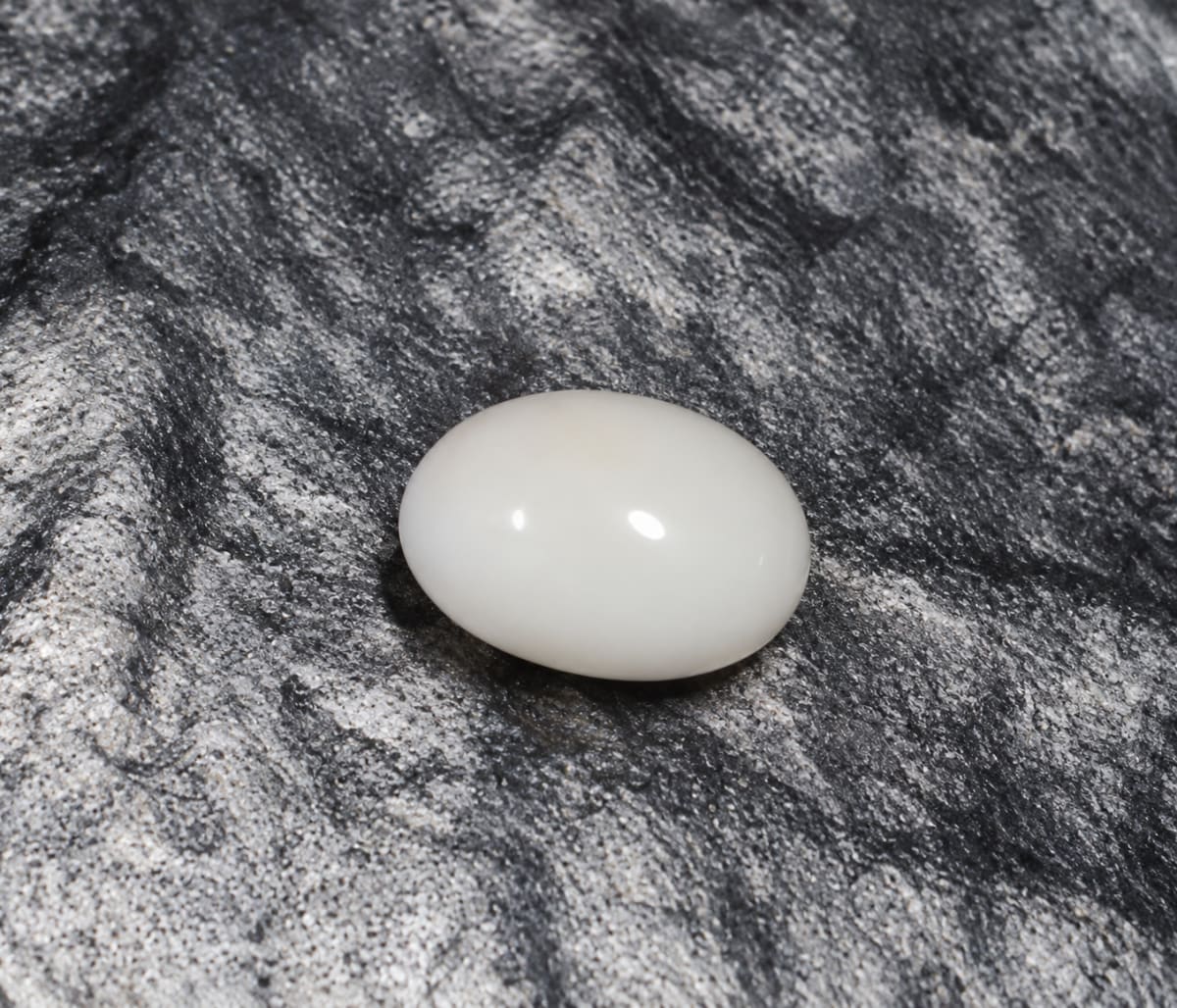 Oval Shape White Coral 8.21 CT