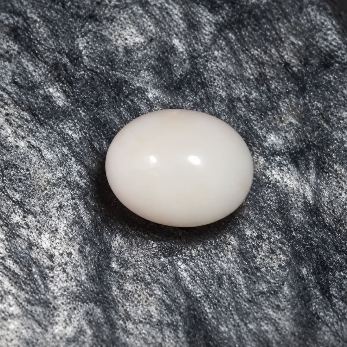 Oval Shape White Coral 8.74 CT