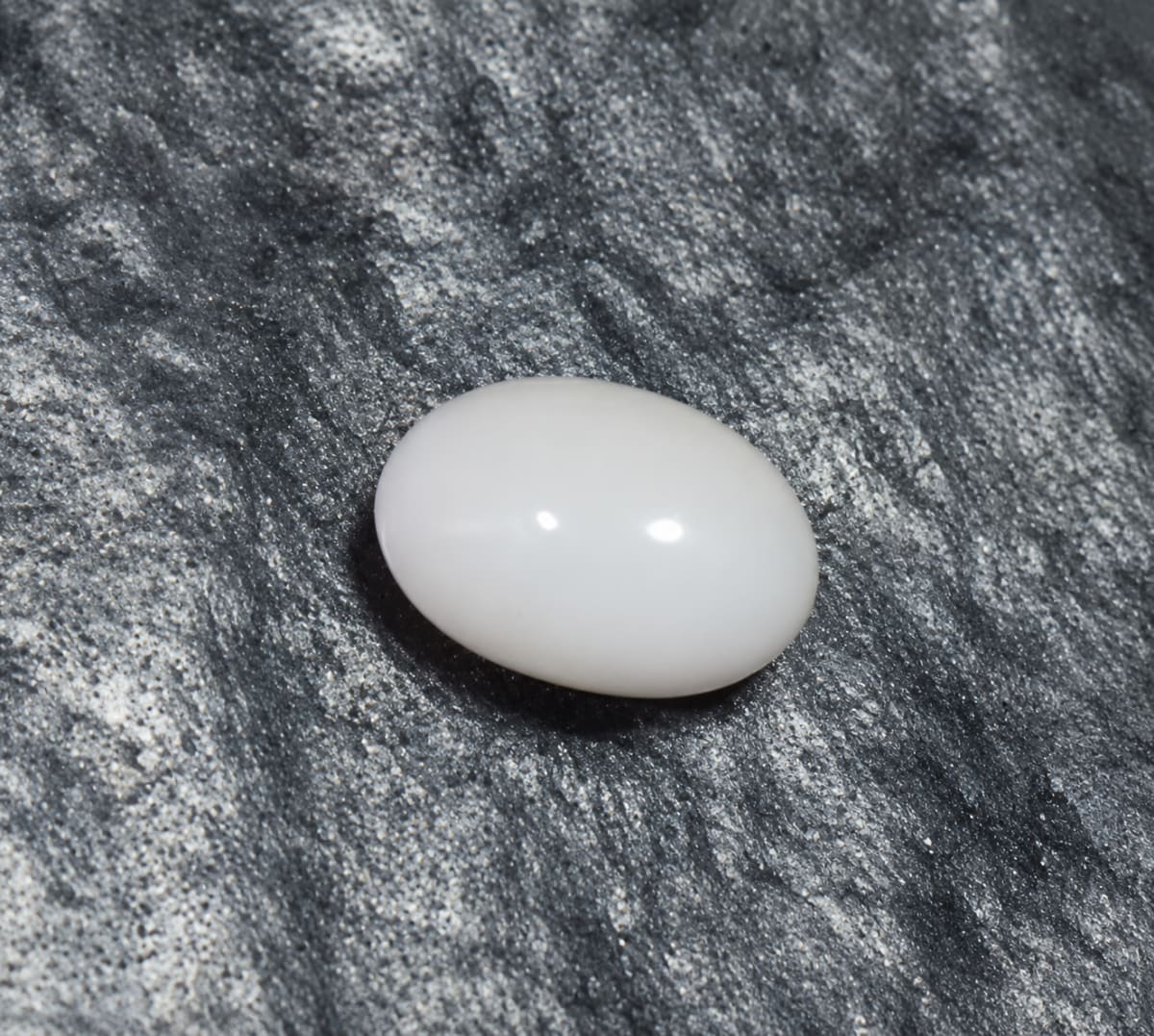 Oval Shape White Coral 4.91 CT