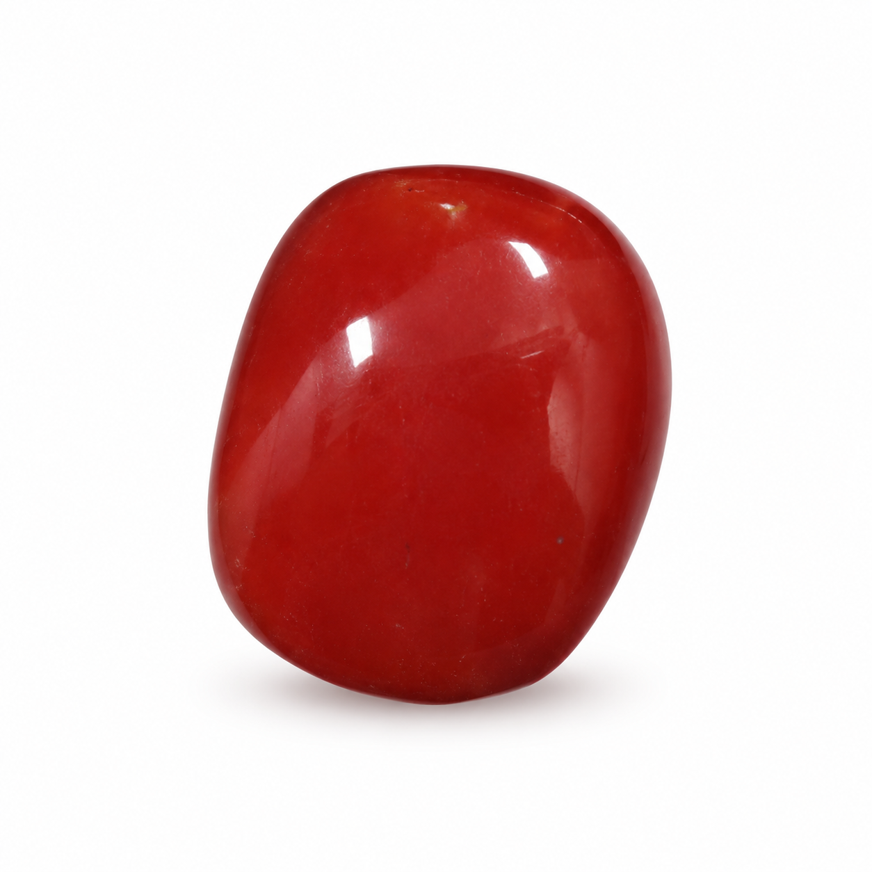 Cylindrical Shape Red Coral 6.67 CT