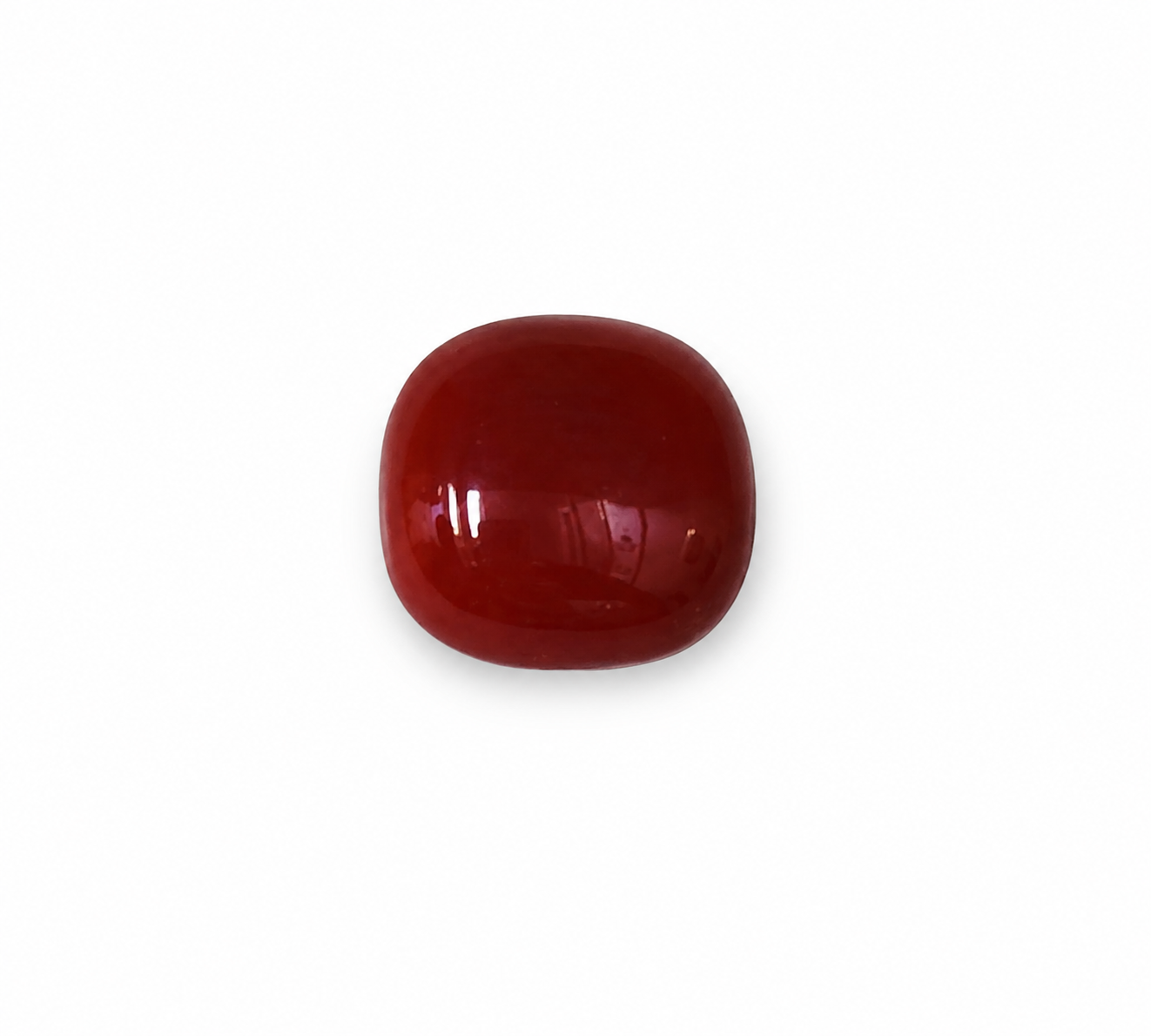 Oval Shape Red Coral 10.15 CT