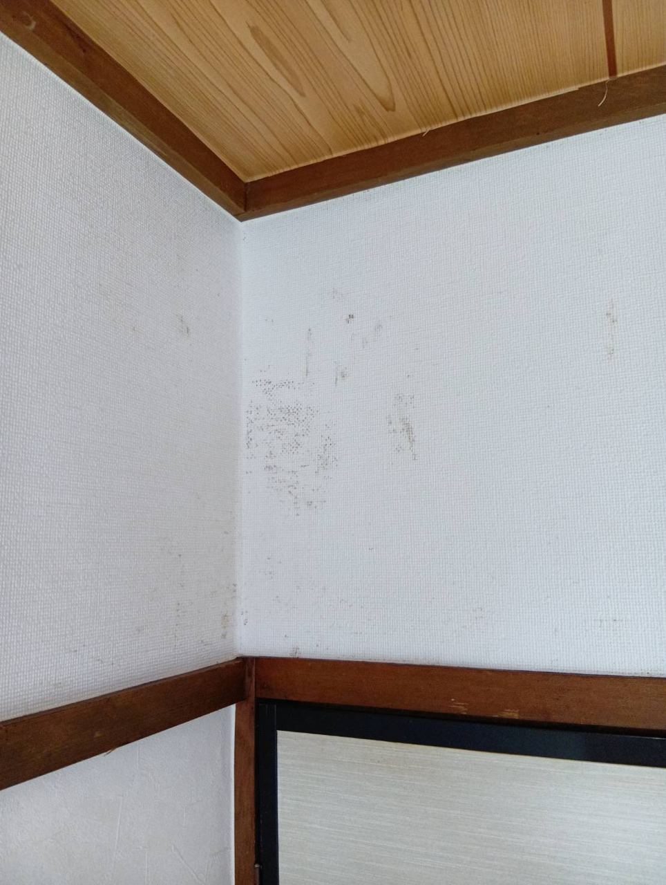 空室の施工写真