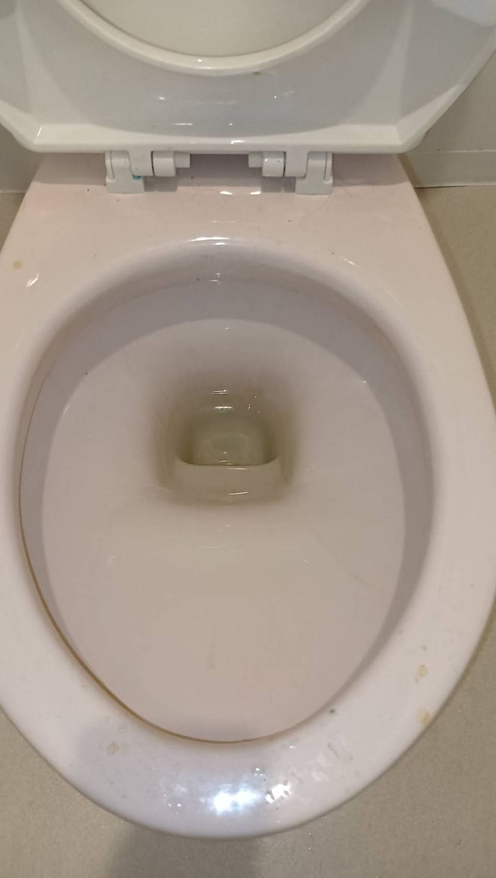 トイレの施工写真